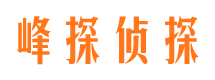 江北市私家侦探